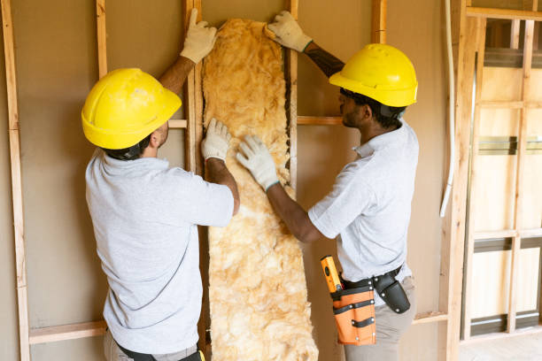 Types of Insulation We Offer in Loyola, CA